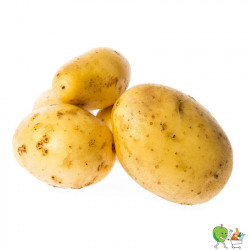 Pommes de Terre Bio Ditta...