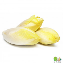 Endives - 450g-550g