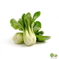Pak-choi 900g-1100g