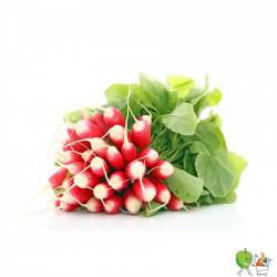 Radis rouges botte 250g