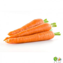Carottes grosses Bio - 1kg