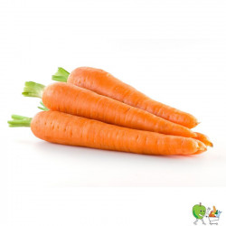 Carottes grosses Bio - 1kg