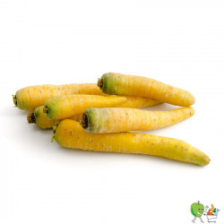Carottes jaunes - 900g-1100g