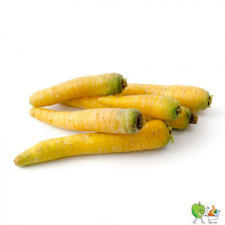 Carottes jaunes - 900g-1100g