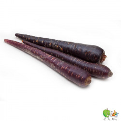 Carottes violettes Bio -...