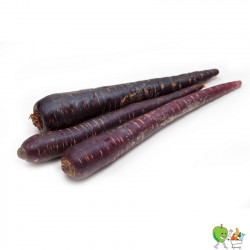 Carottes violettes Bio -...