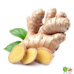 Gingembre 350g-400g