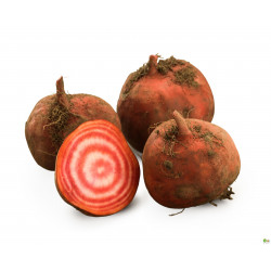 Betterave chioggia 450g-550g