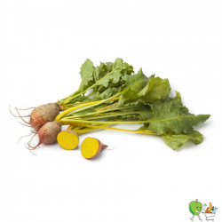 Betterave jaune 450g-550g