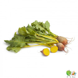 Betterave jaune 450g-550g