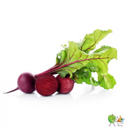 Betterave rouge 450g-550g