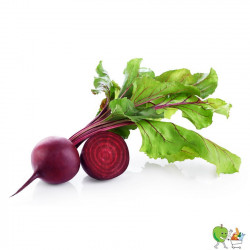 Betterave rouge Bio 450g-550g