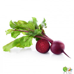 Betterave rouge Bio 450g-550g