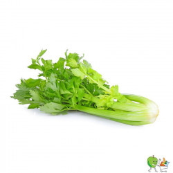 Céleris branche - 450g-550g