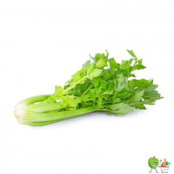 Céleris branche - 450g-550g