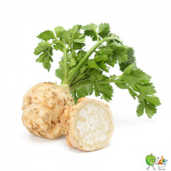 Céleri pomme - 900g-1100g