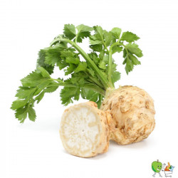 Céleri pomme - 900g-1100g