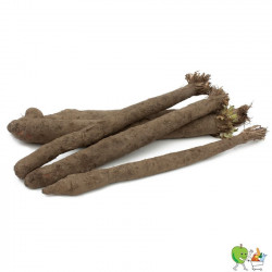 Salsifis - 450g-550g