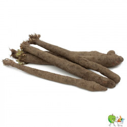 Salsifis - 450g-550g
