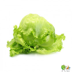 Salade Iceberg - Piéce