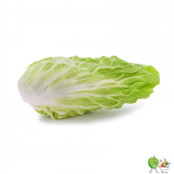 Salade pain de sucre - Piéce