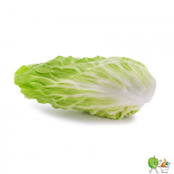 Salade pain de sucre - Piéce