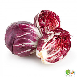 Salade Trévise 350g