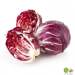 Salade Trévise 350g