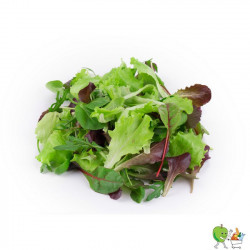 Salade mêlée printemps 1kg