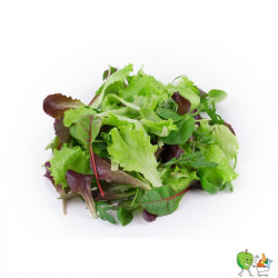 Salade mêlée printemps 1kg