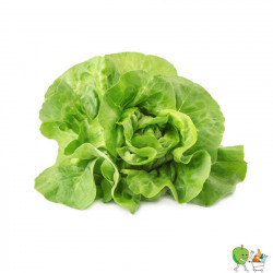 Salade pommée Bio - Piéce