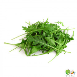 Salade de roquette 100g Bio