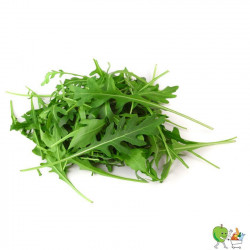 Salade de roquette 100g Bio