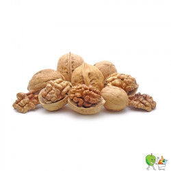 Noix sèche 500g