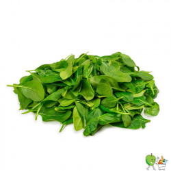 Epinards mini pousse 100g Bio