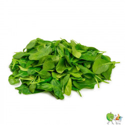 Epinards mini pousse 100g Bio