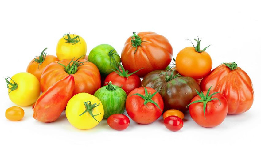 Tomates