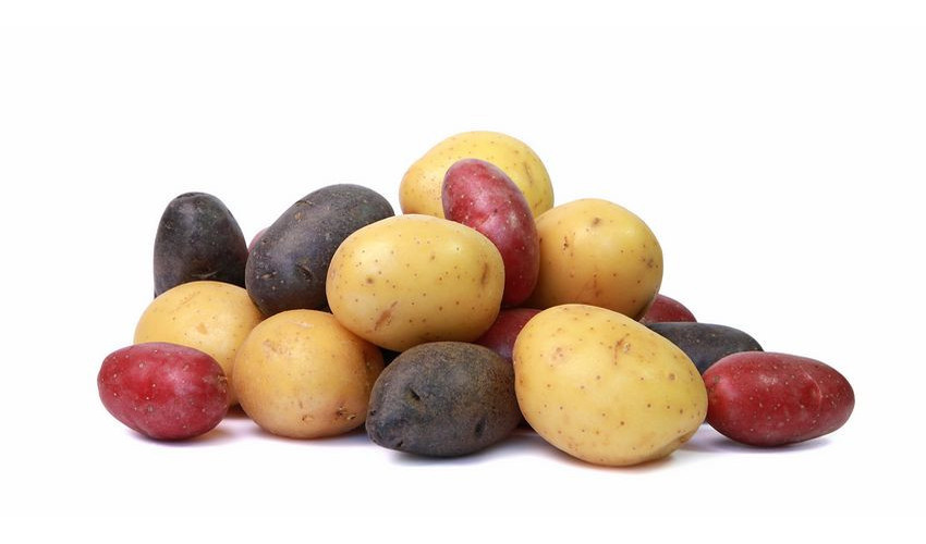 Pommes de terre