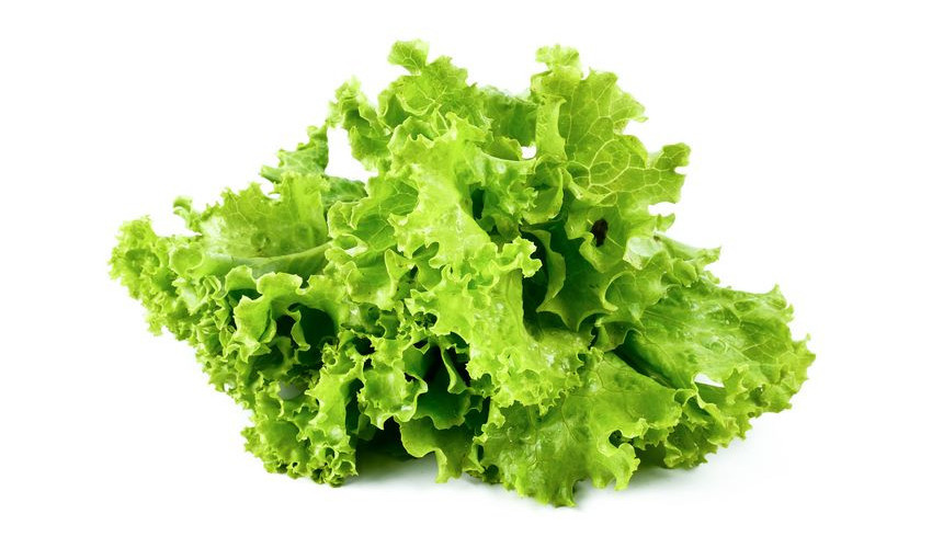 Salades vertes