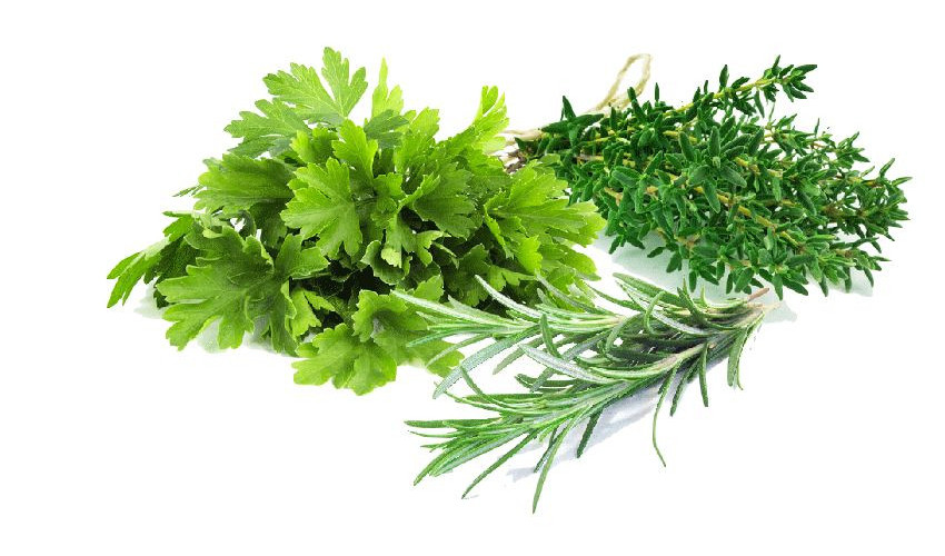 Herbes fraîches