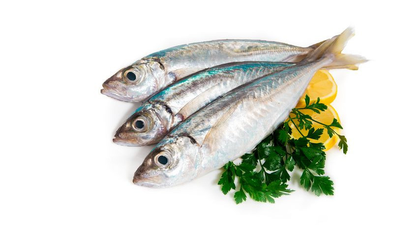 Poissons frais