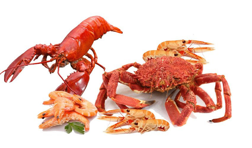 Crustacés & Fruits de mer